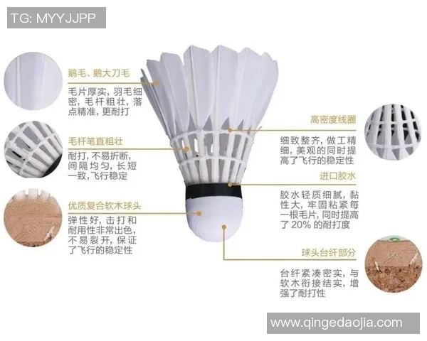 羽毛球专题：深入探讨杭州羽毛球队在耐力训练中的创新与成就